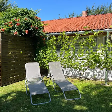 Pajtas 1 By Interhome Διαμέρισμα *